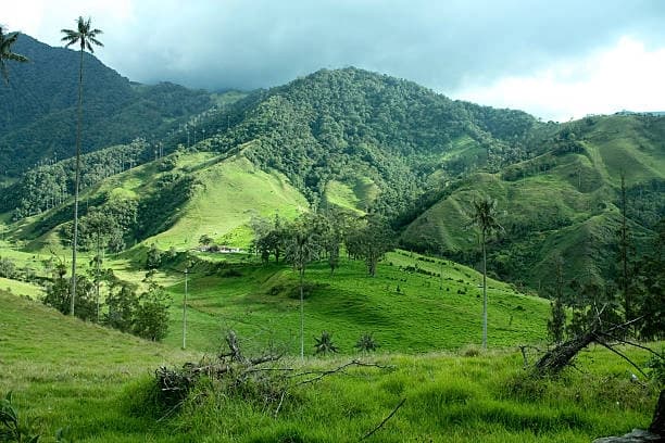 Imagen de Montaña